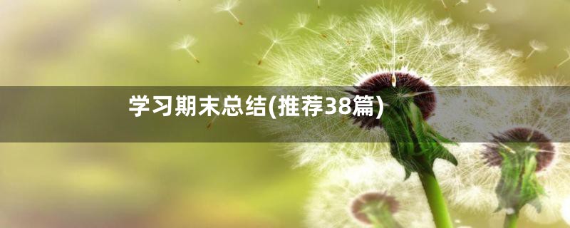 学习期末总结(推荐38篇)