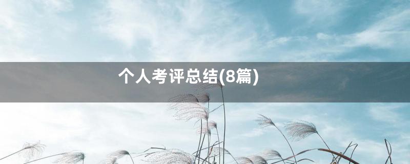 个人考评总结(8篇)