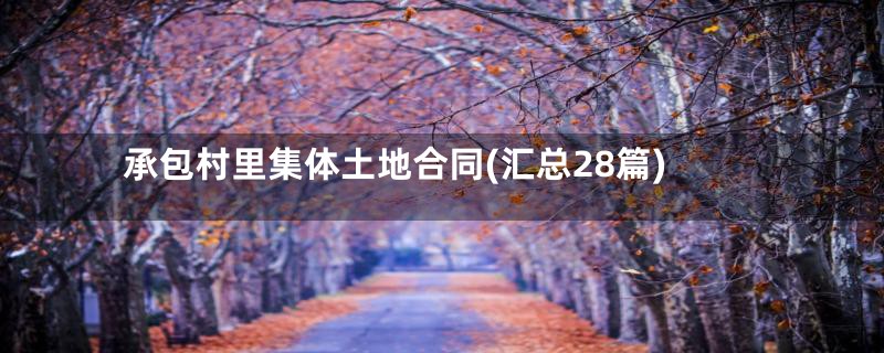 承包村里集体土地合同(汇总28篇)