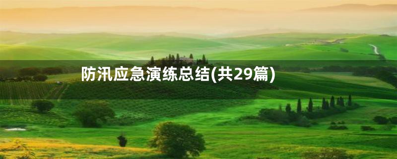 防汛应急演练总结(共29篇)
