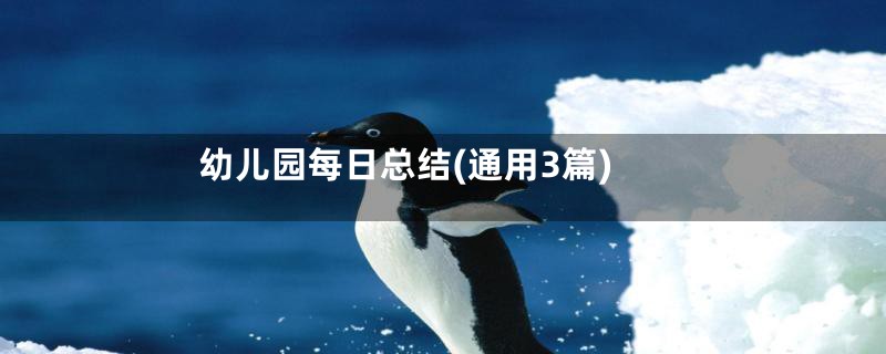 幼儿园每日总结(通用3篇)