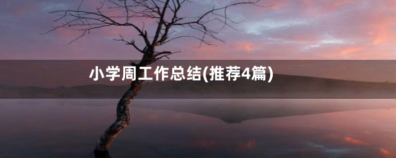 小学周工作总结(推荐4篇)