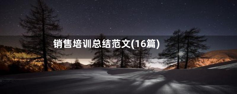 销售培训总结范文(16篇)