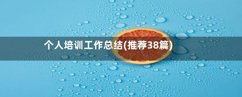 个人培训工作总结(推荐38篇)
