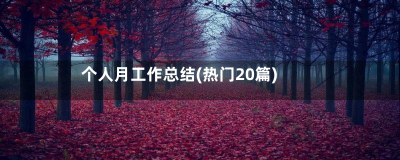 个人月工作总结(热门20篇)