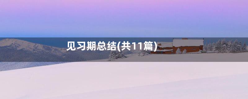 见习期总结(共11篇)