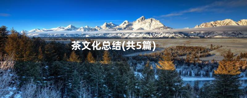茶文化总结(共5篇)