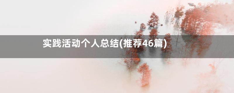 实践活动个人总结(推荐46篇)