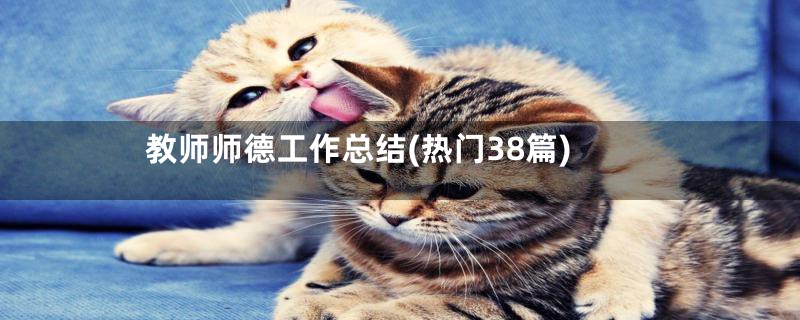 教师师德工作总结(热门38篇)