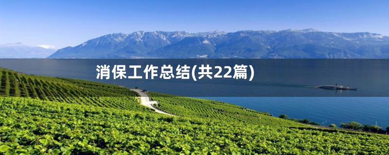 消保工作总结(共22篇)