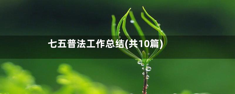 七五普法工作总结(共10篇)
