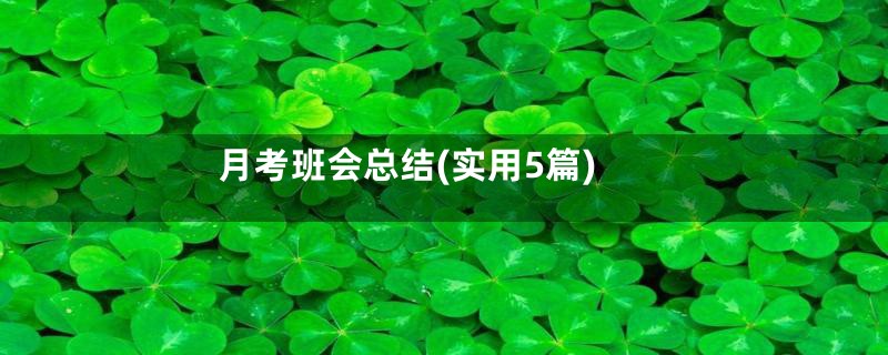 月考班会总结(实用5篇)