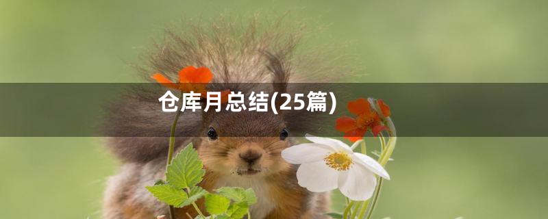 仓库月总结(25篇)