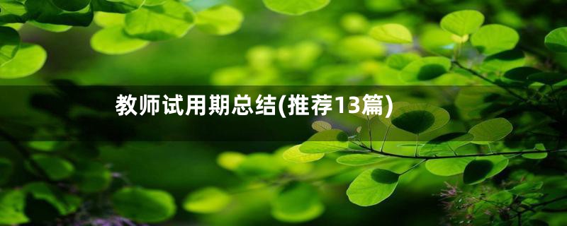 教师试用期总结(推荐13篇)