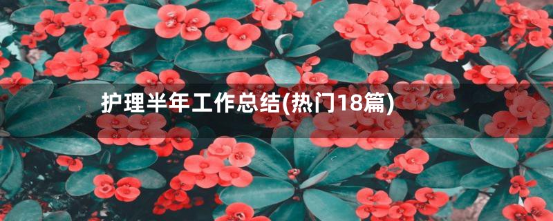 护理半年工作总结(热门18篇)