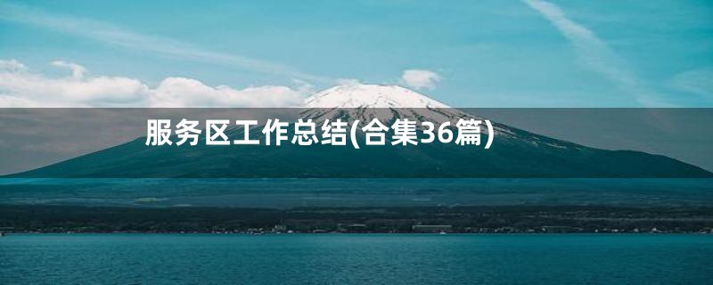 服务区工作总结(合集36篇)