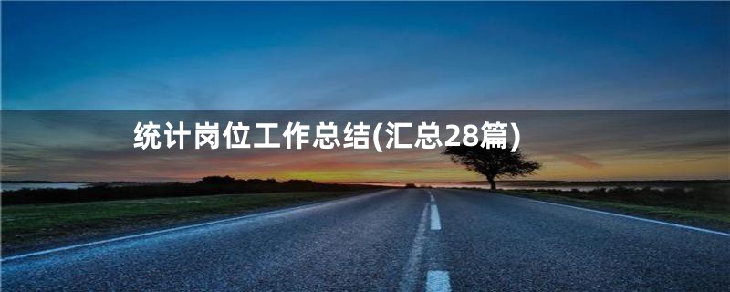 统计岗位工作总结(汇总28篇)