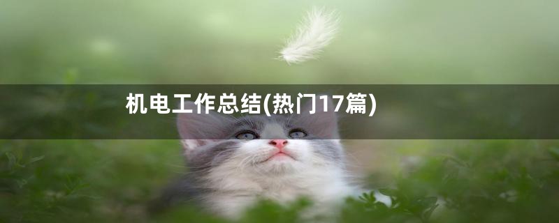 机电工作总结(热门17篇)