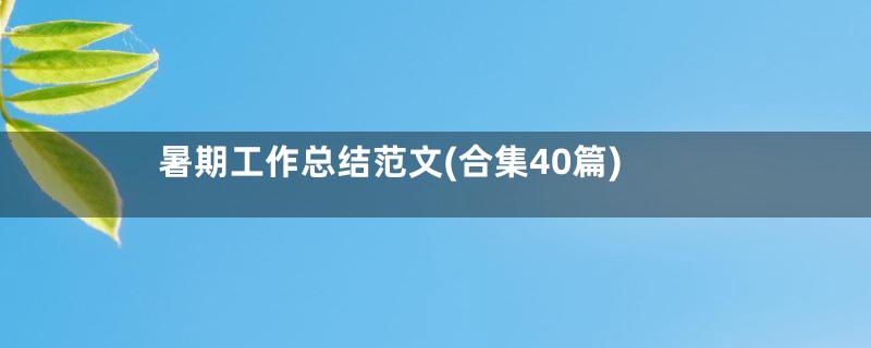 暑期工作总结范文(合集40篇)