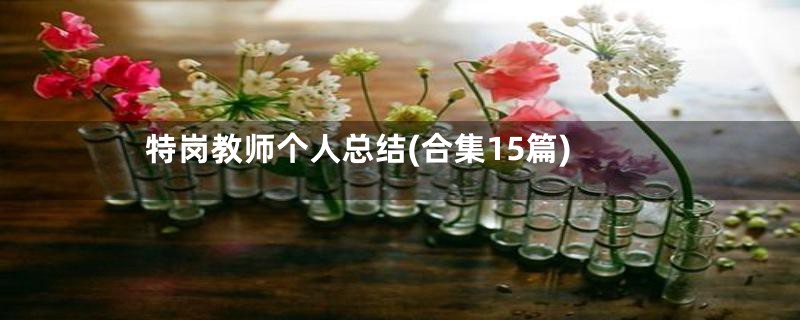 特岗教师个人总结(合集15篇)