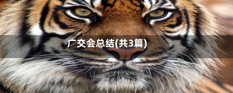 广交会总结(共3篇)