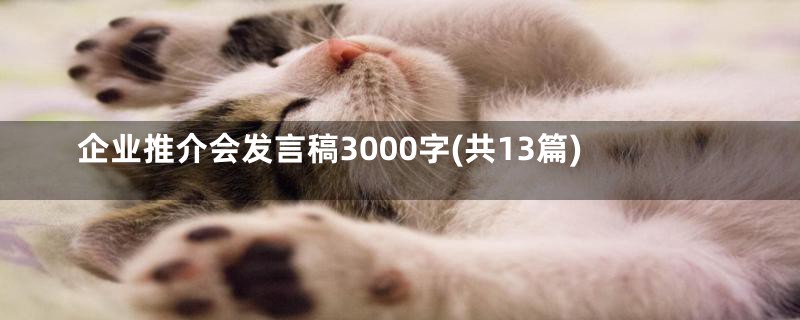 企业推介会发言稿3000字(共13篇)
