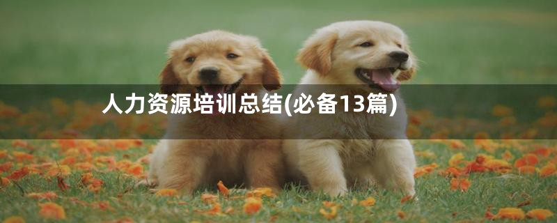 人力资源培训总结(必备13篇)