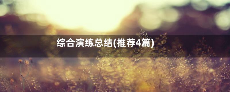 综合演练总结(推荐4篇)