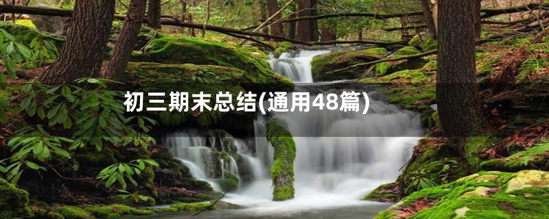 初三期末总结(通用48篇)