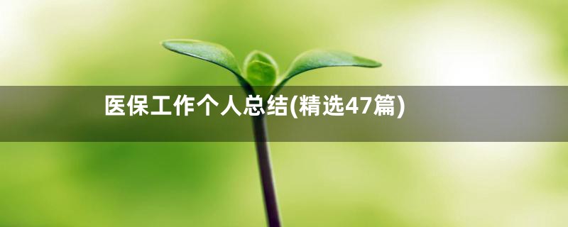 医保工作个人总结(精选47篇)