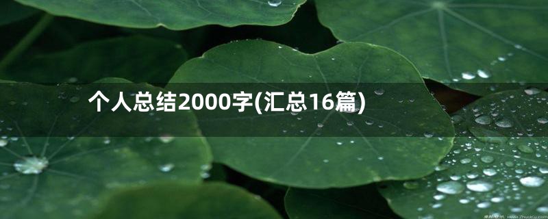 个人总结2000字(汇总16篇)