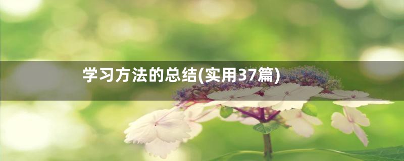 学习方法的总结(实用37篇)