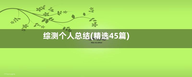 综测个人总结(精选45篇)