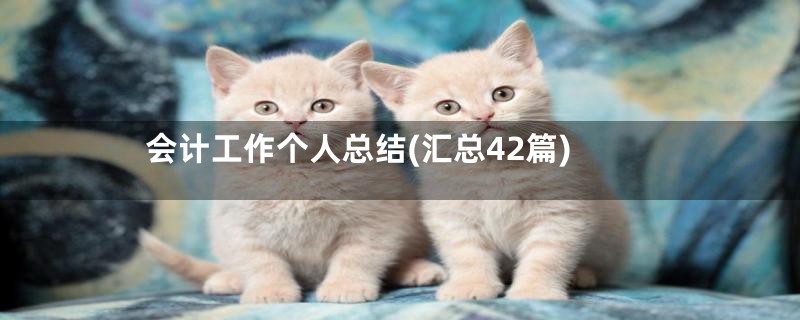 会计工作个人总结(汇总42篇)