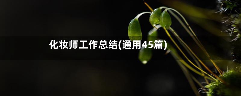 化妆师工作总结(通用45篇)
