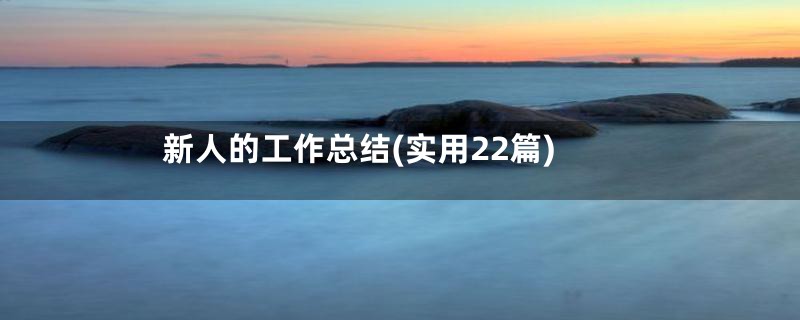 新人的工作总结(实用22篇)