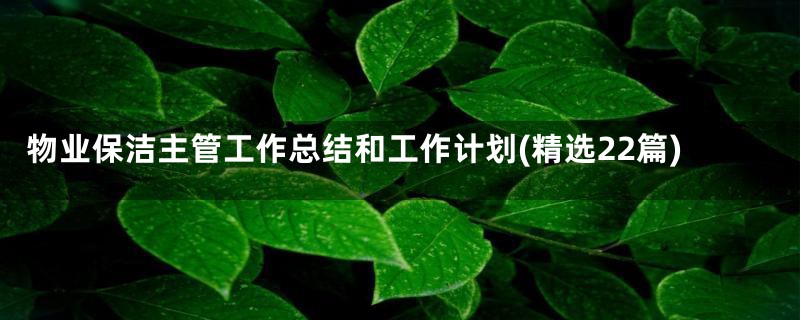 物业保洁主管工作总结和工作计划(精选22篇)