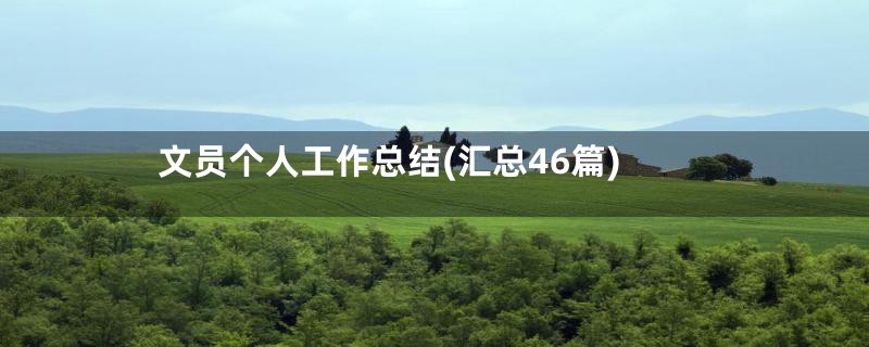 文员个人工作总结(汇总46篇)