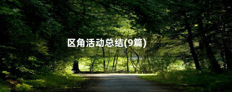 区角活动总结(9篇)