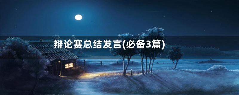 辩论赛总结发言(必备3篇)