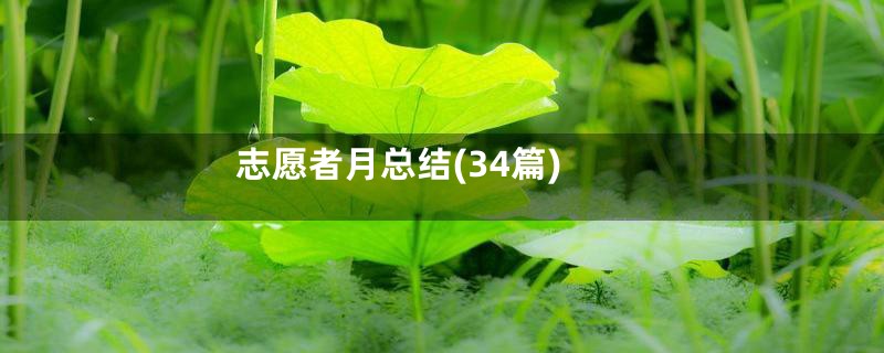 志愿者月总结(34篇)