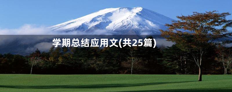 学期总结应用文(共25篇)