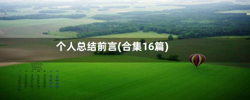 个人总结前言(合集16篇)