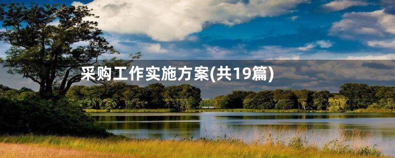 采购工作实施方案(共19篇)
