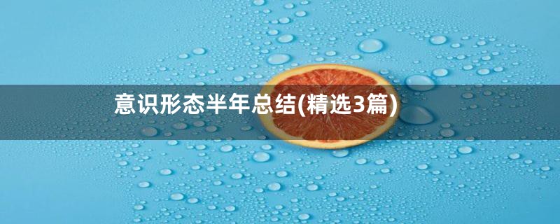 意识形态半年总结(精选3篇)