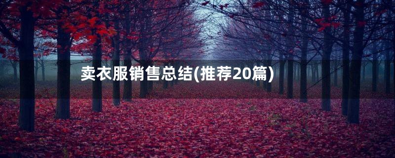 卖衣服销售总结(推荐20篇)