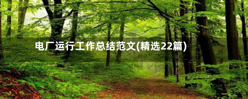 电厂运行工作总结范文(精选22篇)