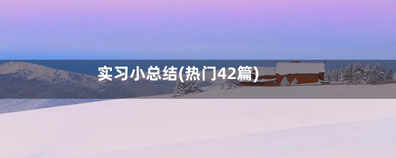 实习小总结(热门42篇)