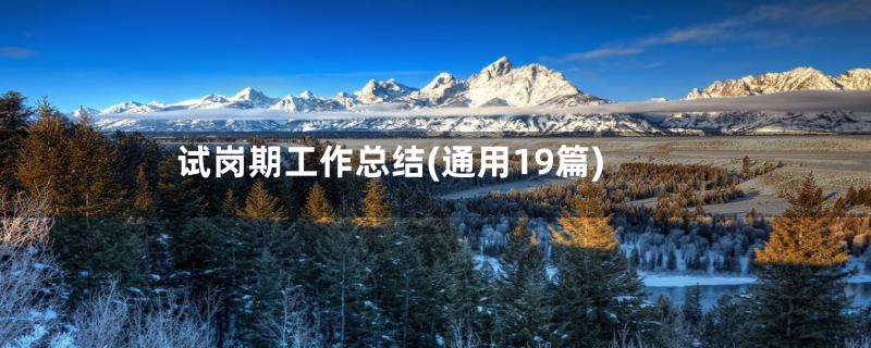 试岗期工作总结(通用19篇)
