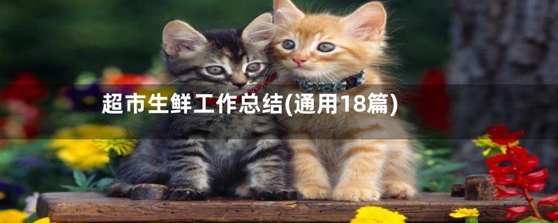 超市生鲜工作总结(通用18篇)